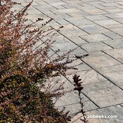 Permacon Mondrian Plus 60 Concrete